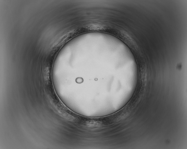 X0000116640549200912291557