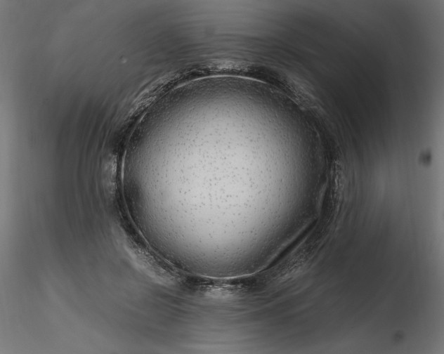 X0000116640550200912291557