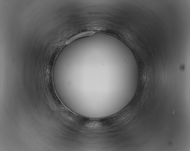 X0000116640551200912291557