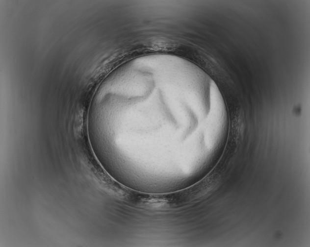 X0000116640554200912291557