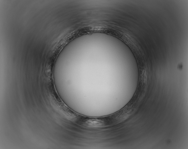 X0000116640557200912291557