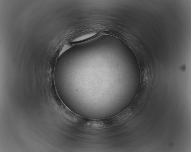 X0000116640559200912291557