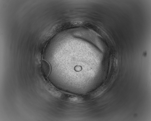 X0000116640561200912291557