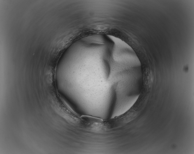 X0000116640562200912291557