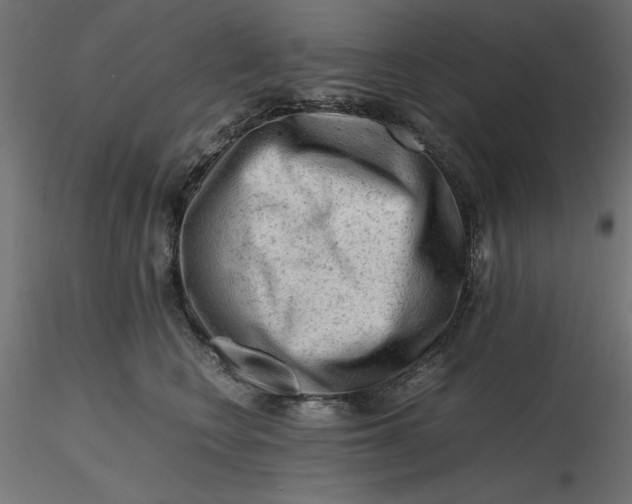 X0000116640566200912291558