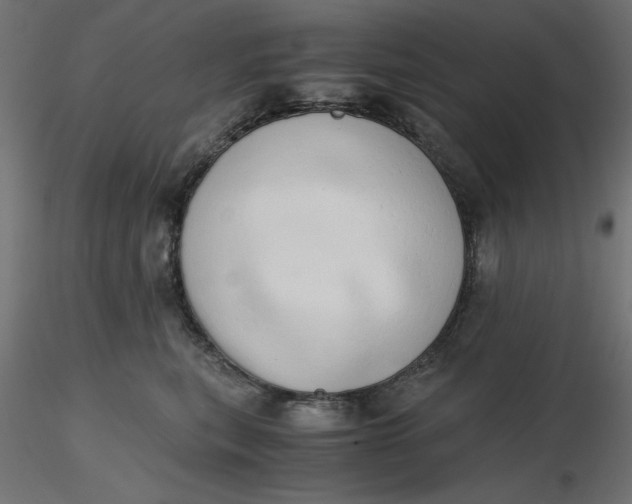 X0000116640567200912291558