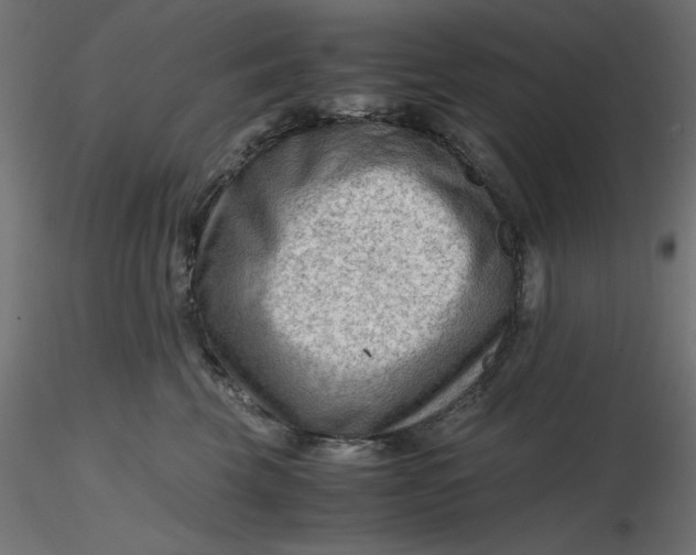 X0000116640569200912291558