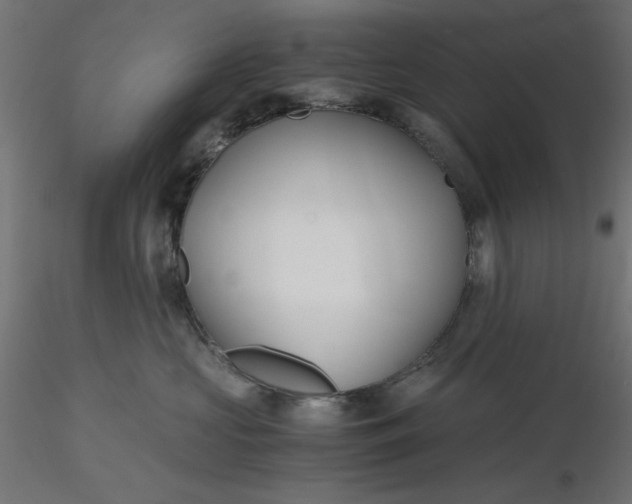 X0000116640573200912291558