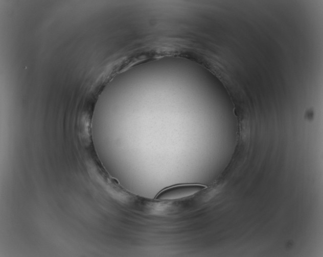 X0000116640575200912291558