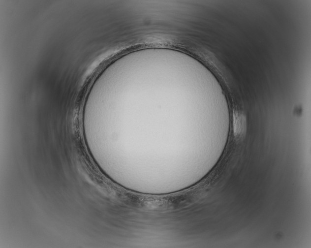 X0000116640579200912291557