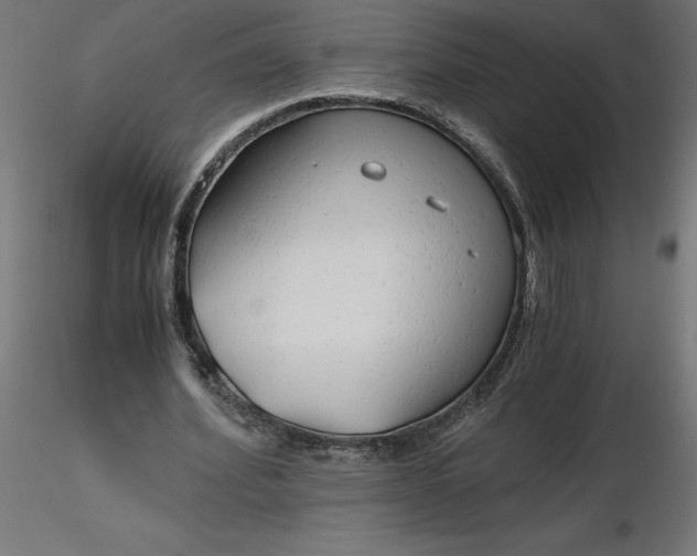 X0000116640580200912291557