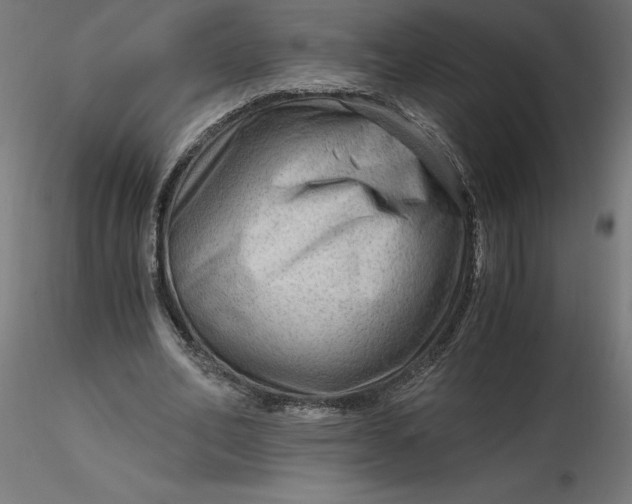 X0000116640582200912291557