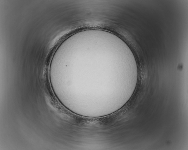 X0000116640583200912291557