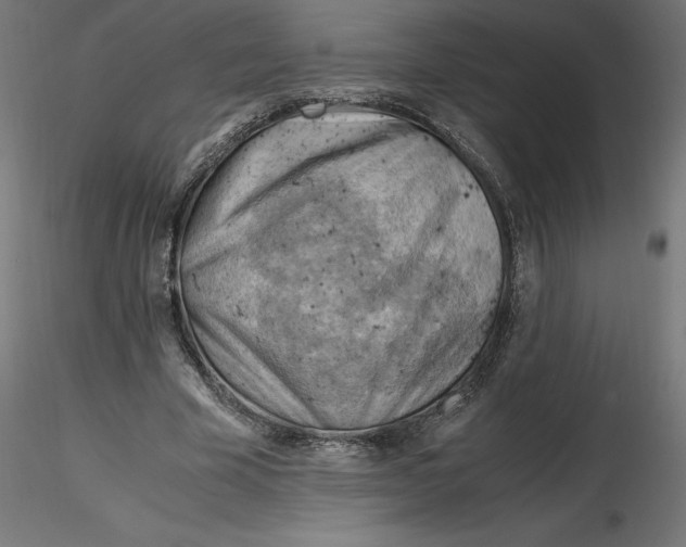 X0000116640585200912291557