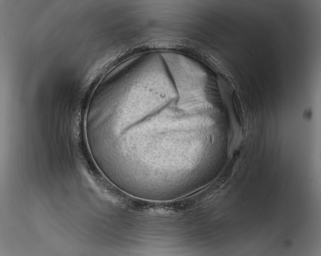 X0000116640586200912291557