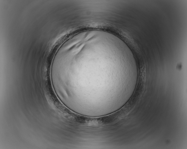 X0000116640587200912291557