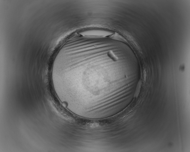 X0000116640588200912291557