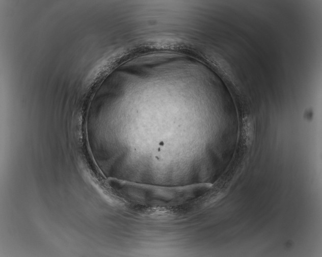 X0000116640589200912291557