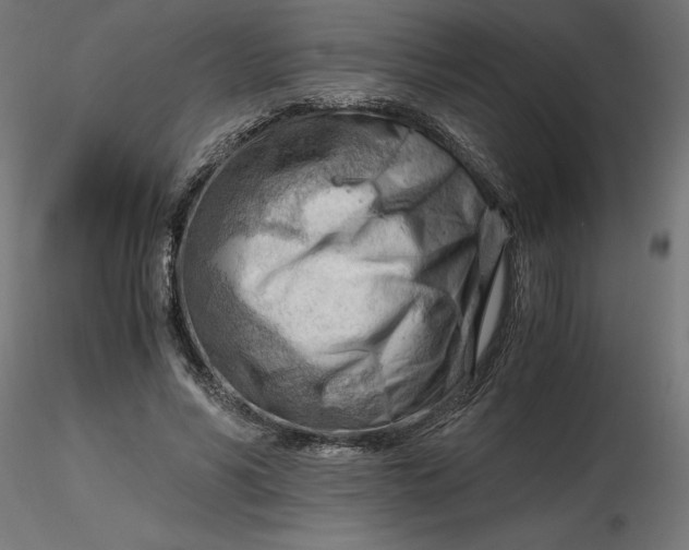 X0000116640590200912291557