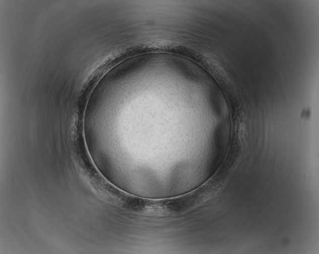 X0000116640591200912291557