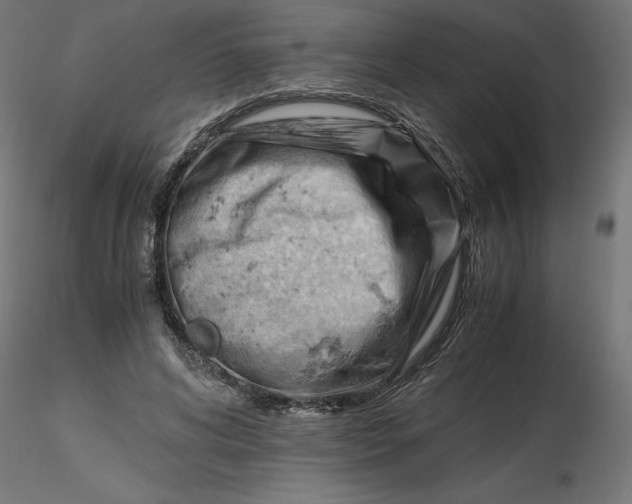 X0000116640592200912291557