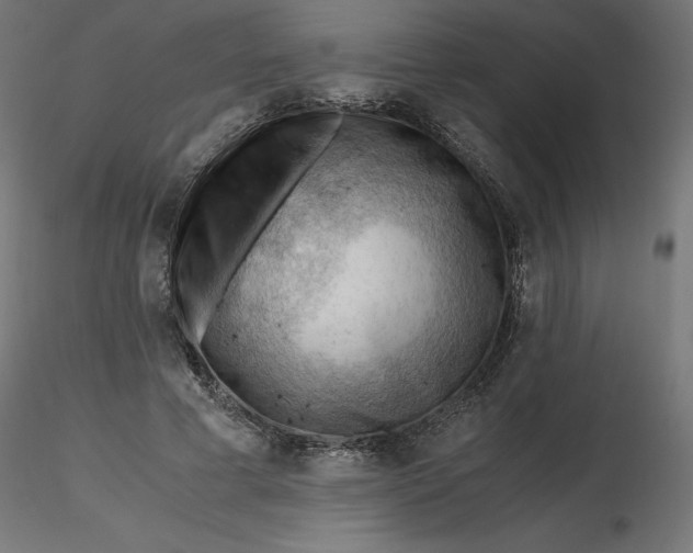 X0000116640593200912291557