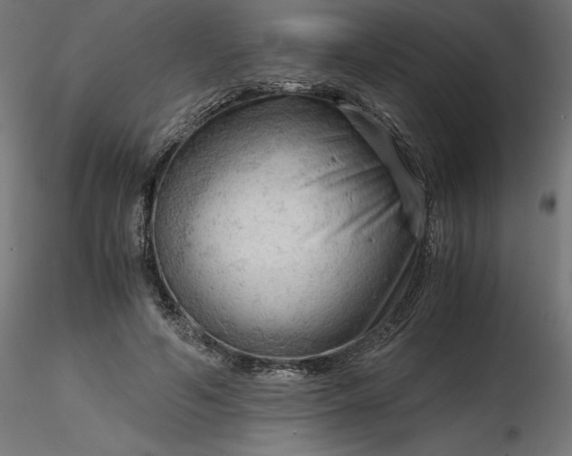 X0000116640594200912291557