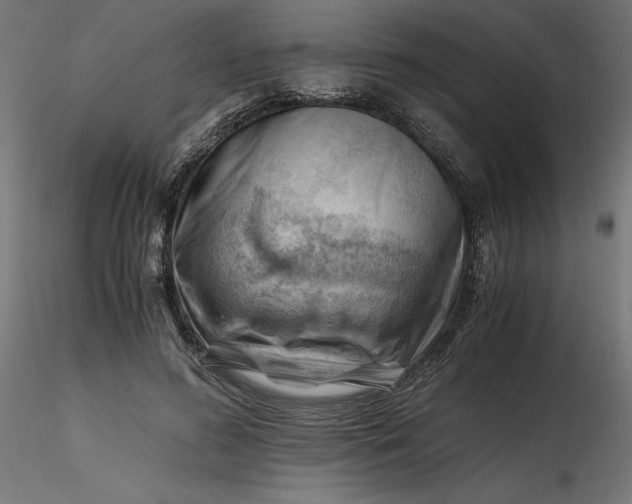 X0000116640596200912291557