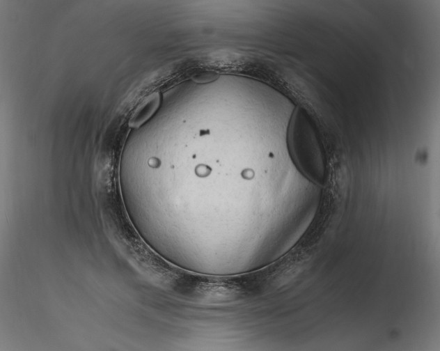 X0000116640597200912291557