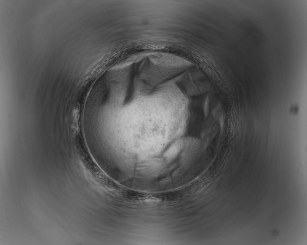 X0000116640598200912291557