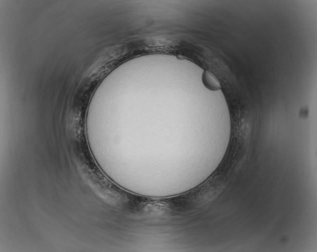 X0000116640599200912291557