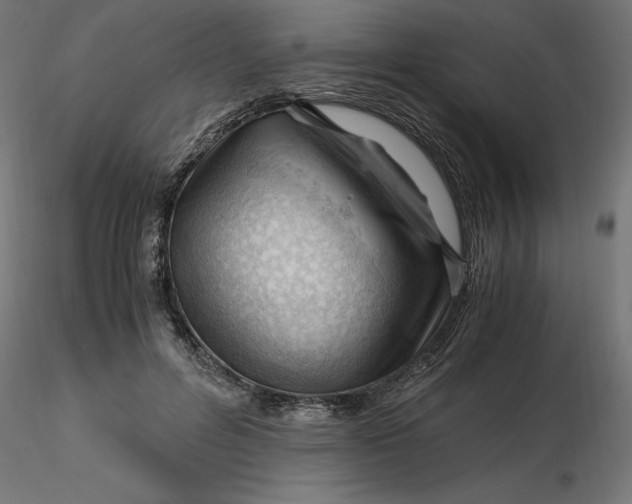 X0000116640600200912291557