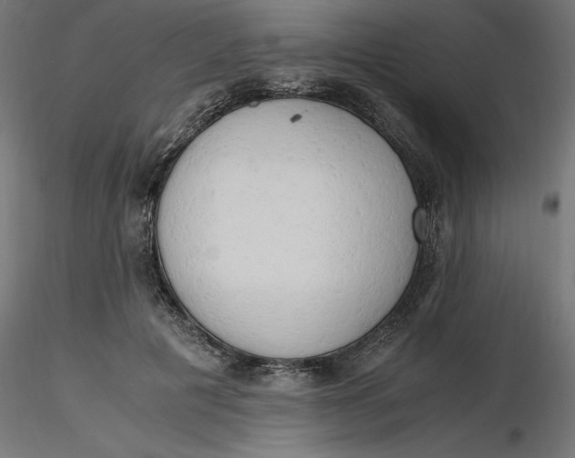 X0000116640601200912291557