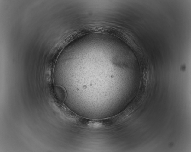 X0000116640602200912291557