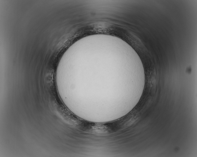 X0000116640603200912291557