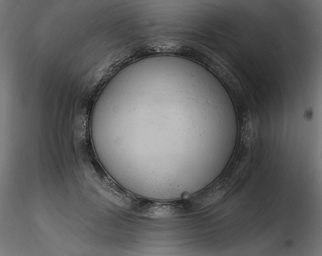 X0000116640604200912291557