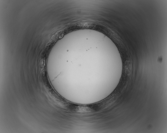 X0000116640605200912291557