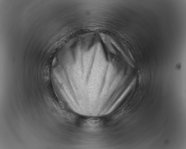 X0000116640606200912291557