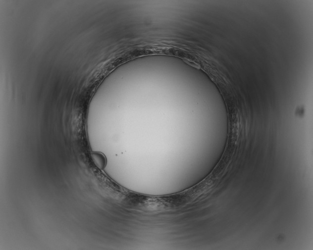 X0000116640608200912291557