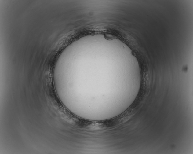 X0000116640609200912291557