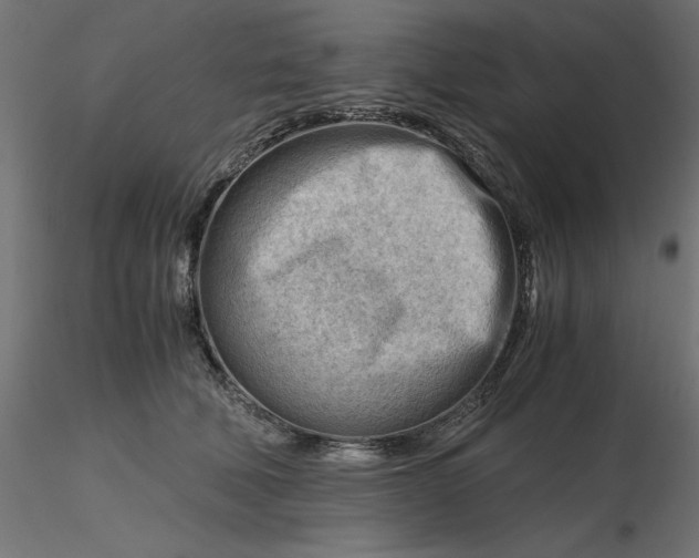 X0000116640610200912291557