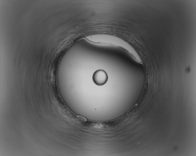 X0000116640611200912291557