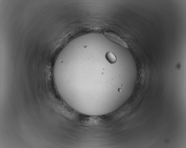 X0000116640612200912291557