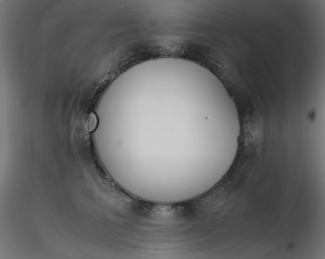 X0000116640613200912291557