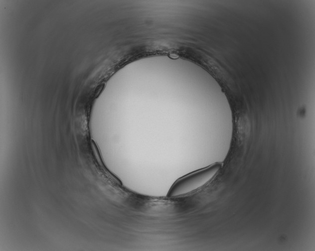 X0000116640617200912291556