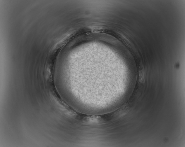 X0000116640618200912291556