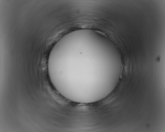 X0000116640620200912291556