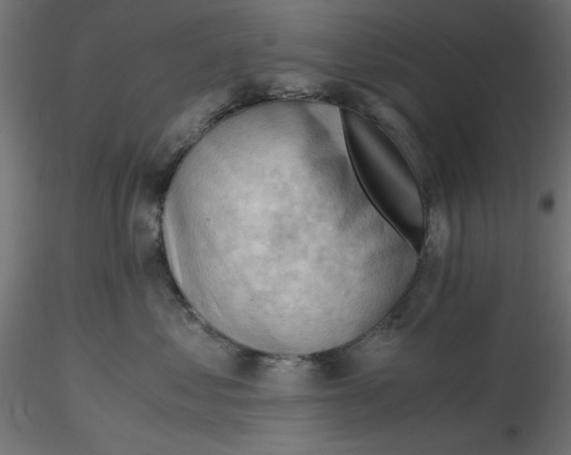 X0000116640621200912291556