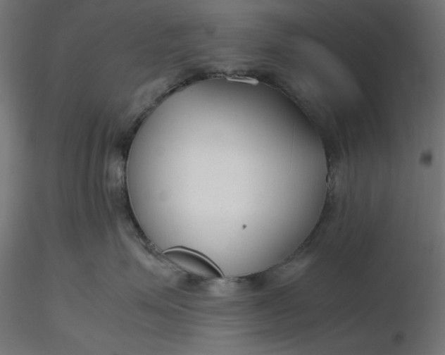 X0000116640623200912291556