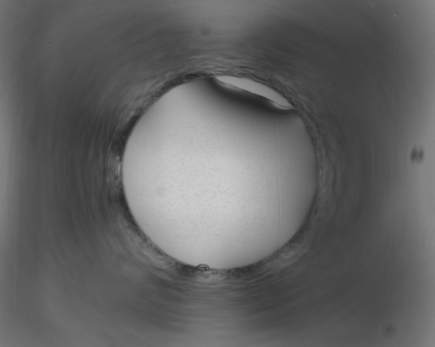 X0000116640624200912291556